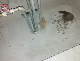 江阴卫生间测漏水价格明细